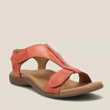 Pink coral